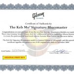 GIBSON-KEBMO-LTD-FIRSTRUN-NAT-COA