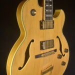 ibanez-pm120-nat-ga-ev