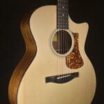 EASTMAN AC 222 CE OV