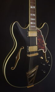 D’ANGELICO EXCEL EX DC PT